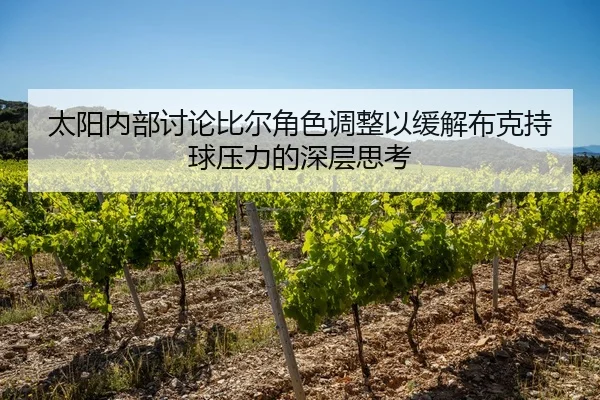 太阳内部讨论比尔角色调整以缓解布克持球压力的深层思考